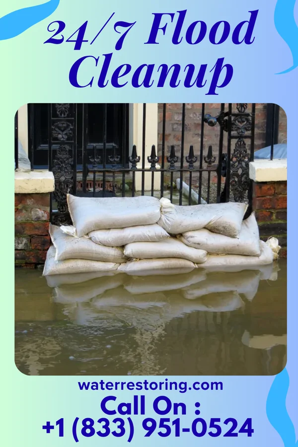 24/7 Flood Cleanup in Cosby, MO