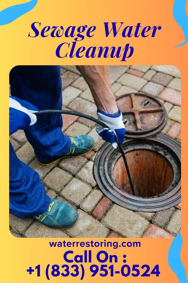 Sewage Water Cleanup in Cosby, MO