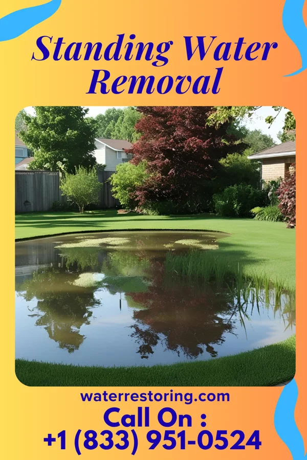 Standing Water Removal in Cosby, MO